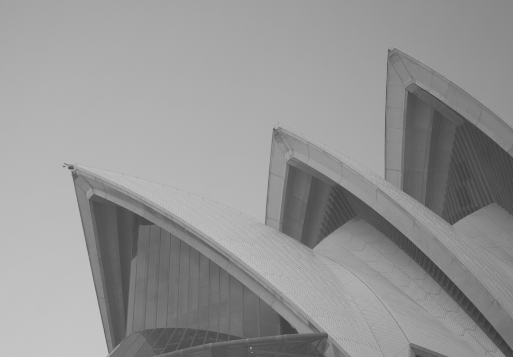 The top arches of the Sydney opera house.